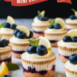 Lemon-Blueberry Mini Cheesecakes