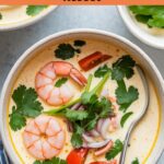 Chicken and Prawn Tom Yum Soup Recipe